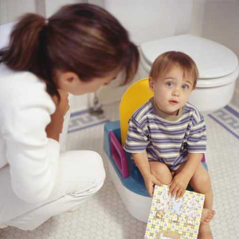 Рвота и понос – очевидное ухудшение самочувствия Рвота и понос – очевидное ухудшение самочувствия