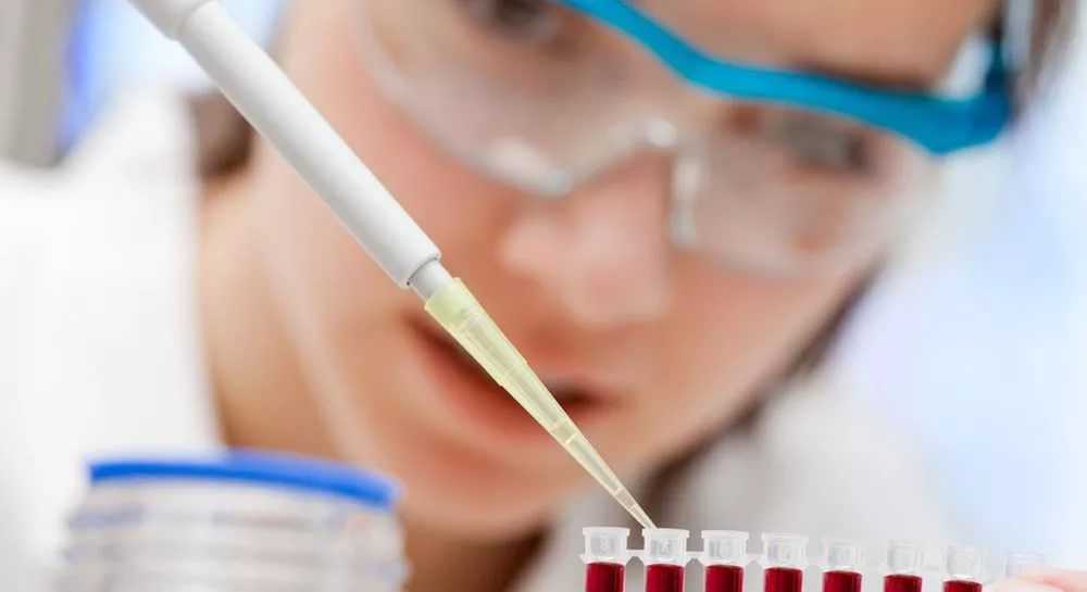 Норма холестерина