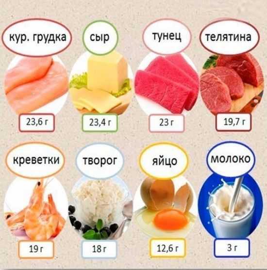 Белковые продукты