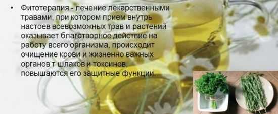 Фитотерапия