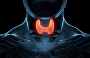 Заболевания щитовидной железы и диабет