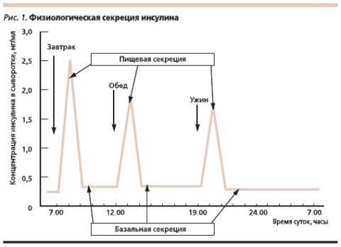 Секреция гормона в норме