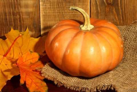 Сладкая тыква, именуемая солнечным овощем – истинная королева овощного царства.