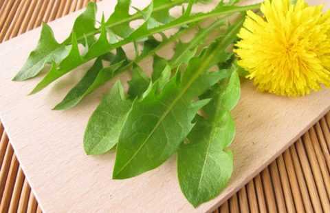 Снижает высокий инсулин в крови листья одуванчика Снижает высокий инсулин в крови листья одуванчика