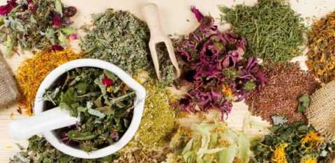 Сочетание лекарственных растений позволяет предотвратить развитие осложнений СД. Сочетание лекарственных растений позволяет предотвратить развитие осложнений СД.