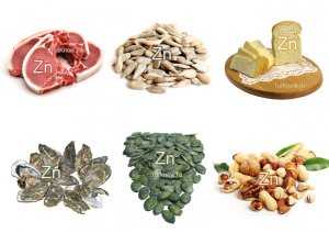 Содержание цинка в продуктах