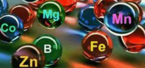 Состав минералки обогащен огромным количеством важных и полезных микроэлементов. Состав минералки обогащен огромным количеством важных и полезных микроэлементов.