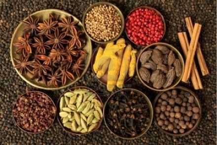 Специи и приправы