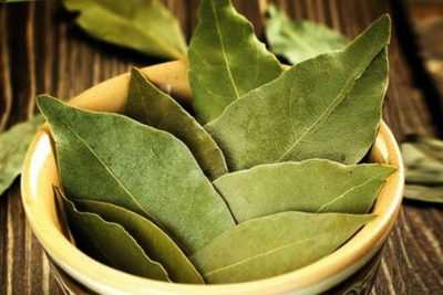 Народные средства - лавровый лист при сахарном диабете 2 типа
