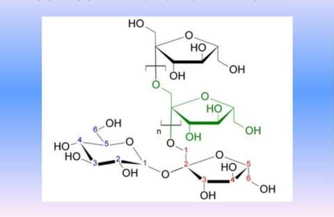 Строение молекулы инулина