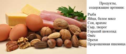 Строительный материал, необходимый для синтеза NO – аргинин (аминокислота) Строительный материал, необходимый для синтеза NO – аргинин (аминокислота)