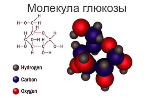 Структурная формула углевода