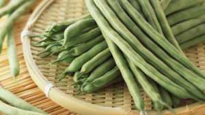 створки фасоли при диабете