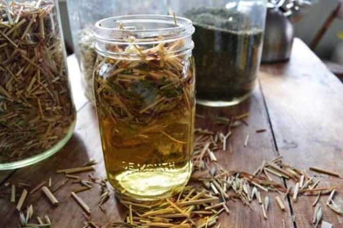 настой из створок фасоли