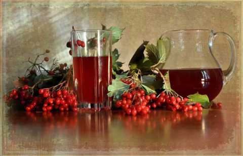 Свежий ягодный сок отлично утоляет жажду и укрепляет иммунные силы организма.