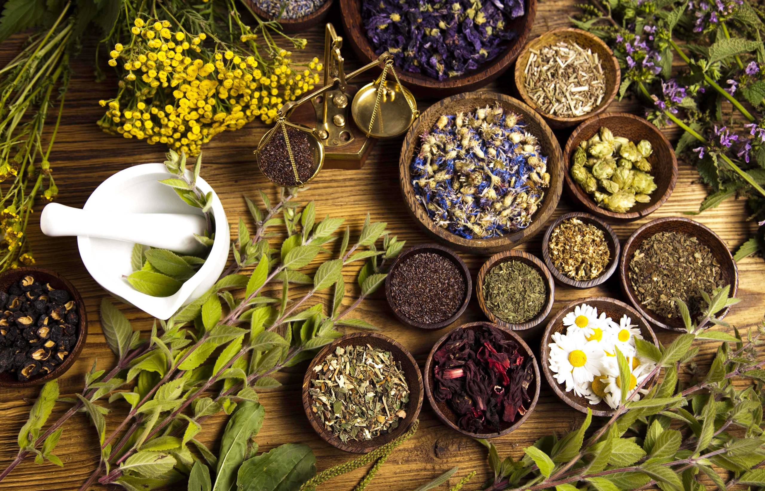 траволечение