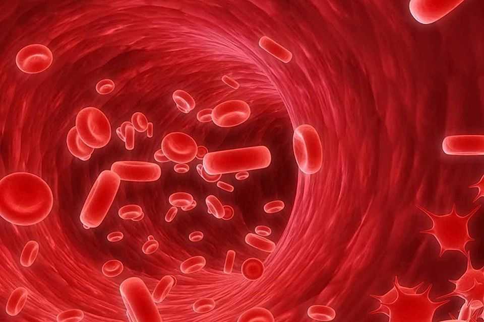 Проблемы с сосудами