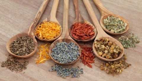 Целебные травы снижают уровень сахара благодаря содержащимся в них инсулиноподобным веществам. Целебные травы снижают уровень сахара благодаря содержащимся в них инсулиноподобным веществам.