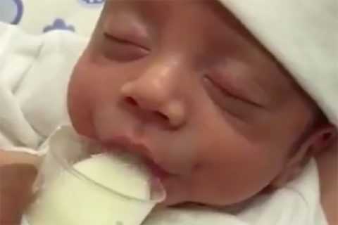 У новорожденных существует много механизмов, защищающих головной мозг от недостатка глюкозы У новорожденных существует много механизмов, защищающих головной мозг от недостатка глюкозы