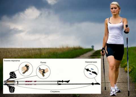 Устройство телескопической скандинавской палки для Nordic Walking Устройство телескопической скандинавской палки для Nordic Walking