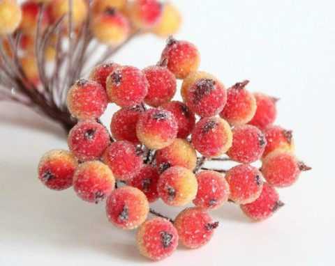 В ягодах калины сосредоточено большое количество витаминов и важных микроэлементов.