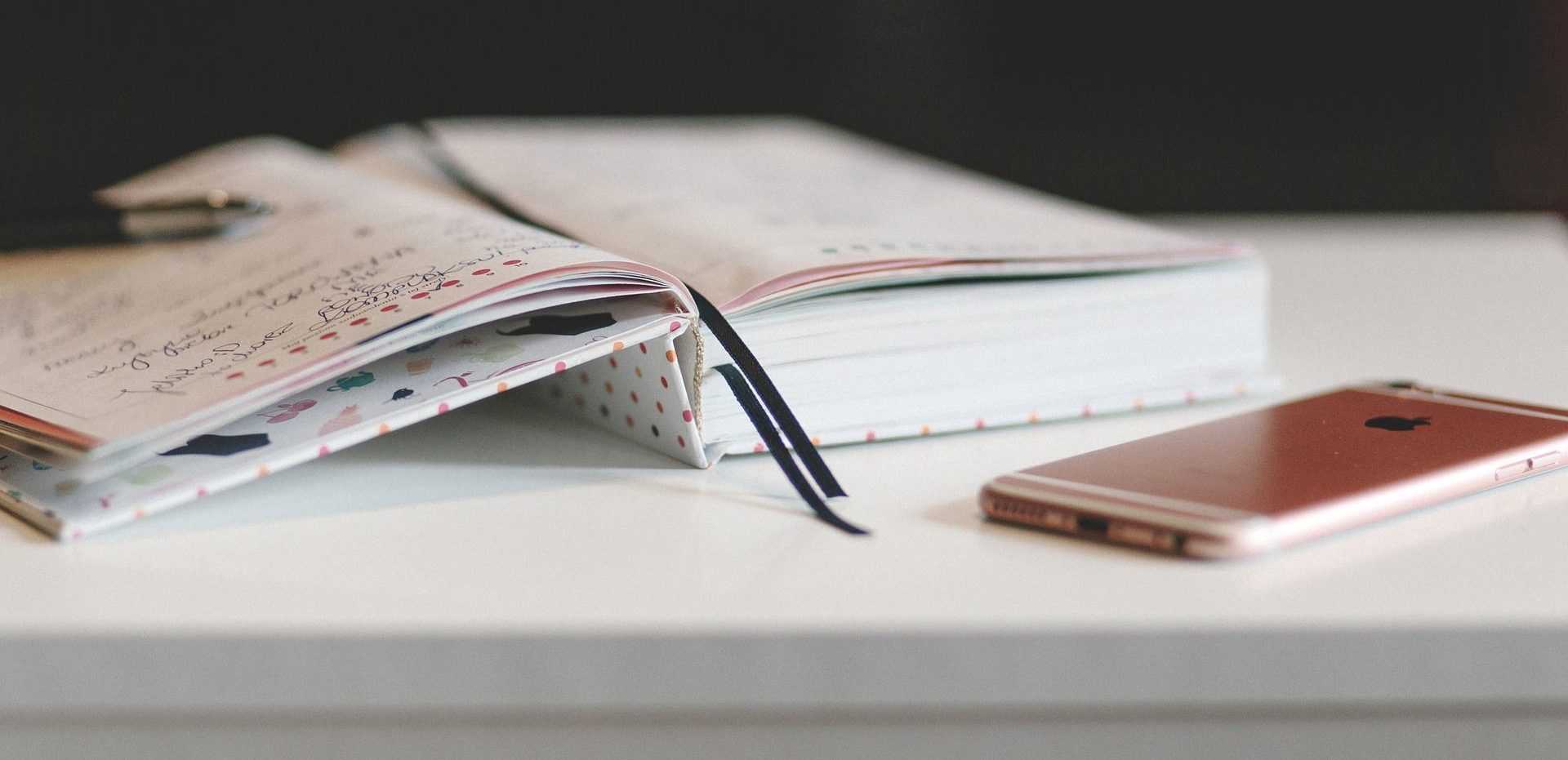 мобильный и бумажный дневники