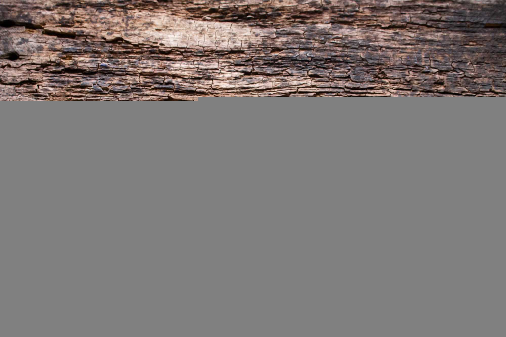 воздержание от алкоголя