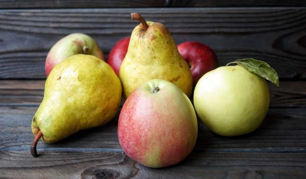 яблоки груши 