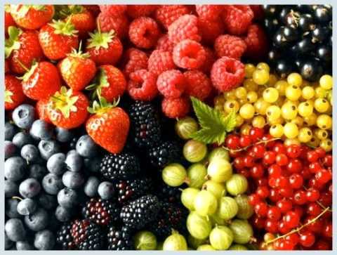 Ягоды и фрукты