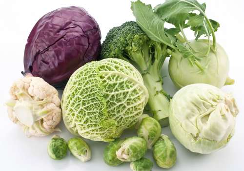 разные виды капусты