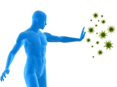 Защита от бактерий